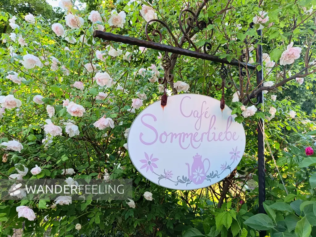 202606090-36 - Café Sommerliebe in Carwitz, Mecklenburgische Seenplatte, Mecklenburg-Vorpommern, Deutschland