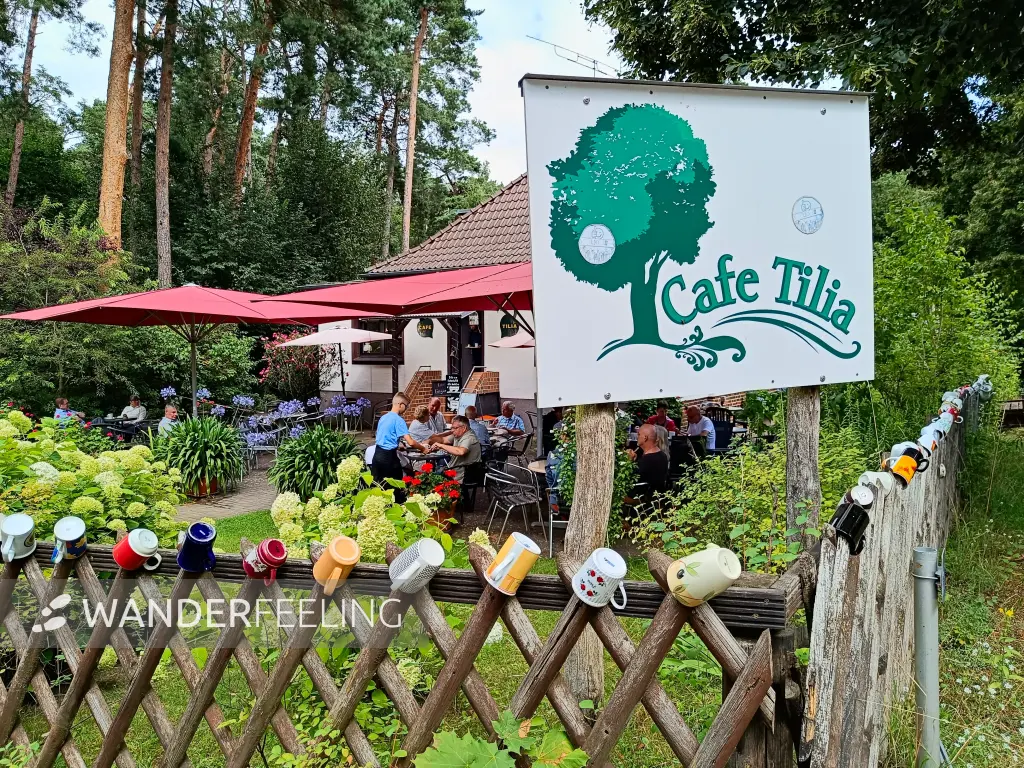 202508020-24 - Café Tilia in Waldsieversdorf, Märkische Schweiz, Seenland Oder-Spree, Brandenburg, Deutschland