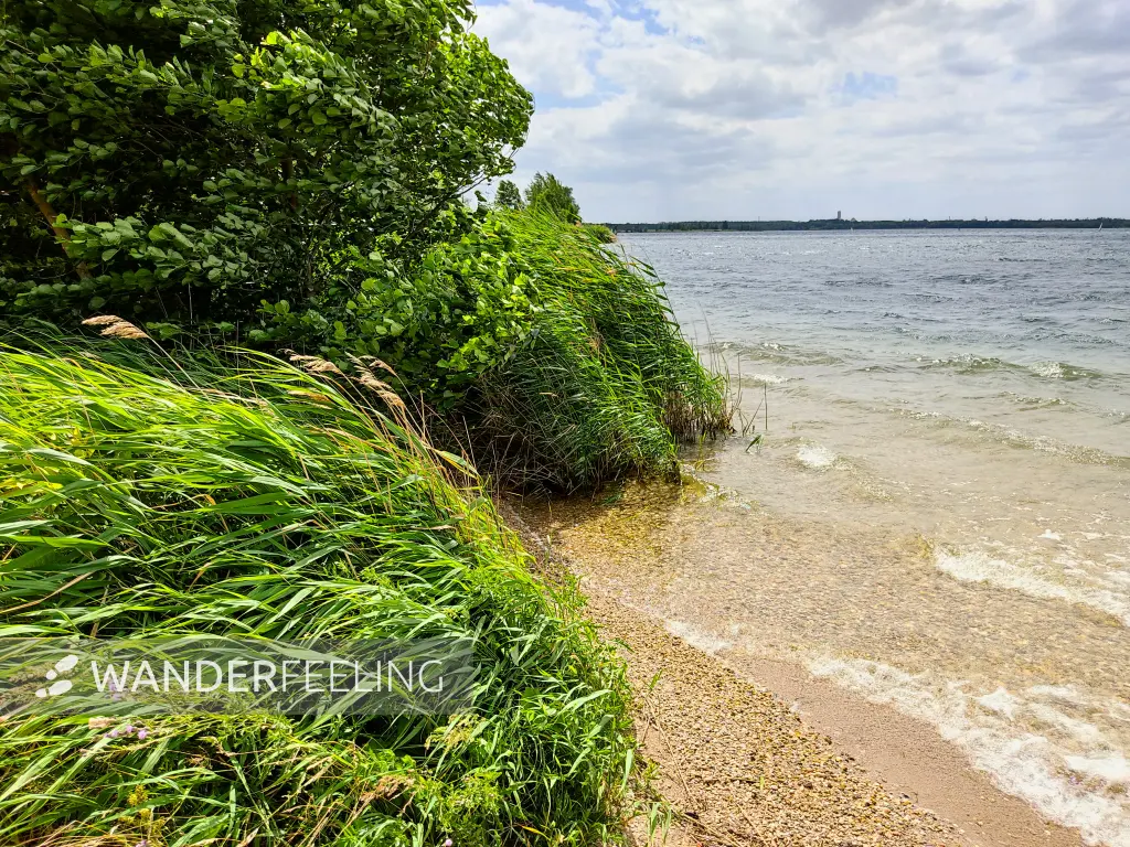 202307030-12 - Cospudener See bei Markkleeberg, Sachsen, Deutschland