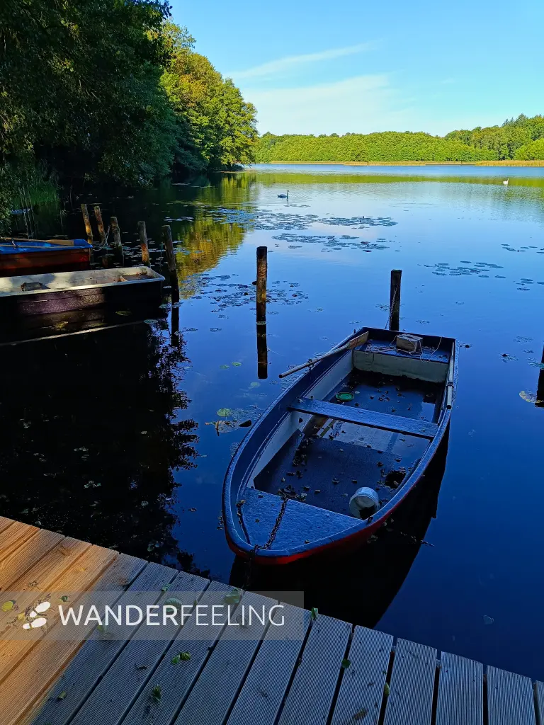 202509010-06 - Dagowsee bei Dagow, Ruppiner Seenland, Brandenburg, Deutschland