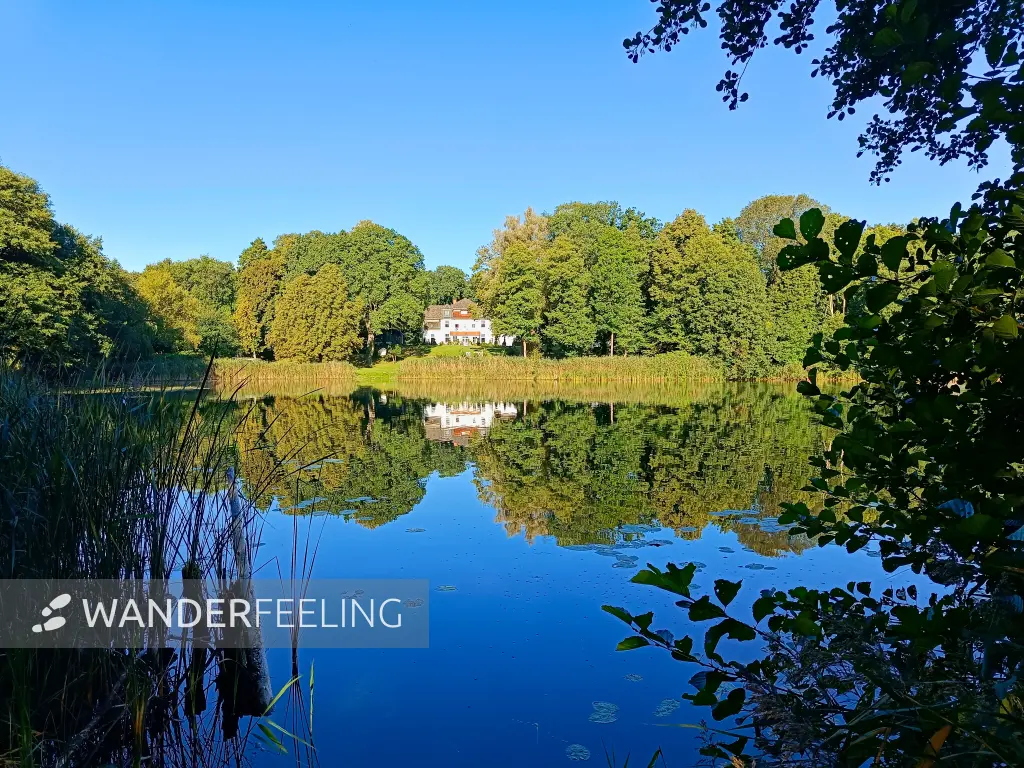 202509010-02 - Dagowsee bei Neuglobsow, Ruppiner Seenland, Brandenburg, Deutschland
