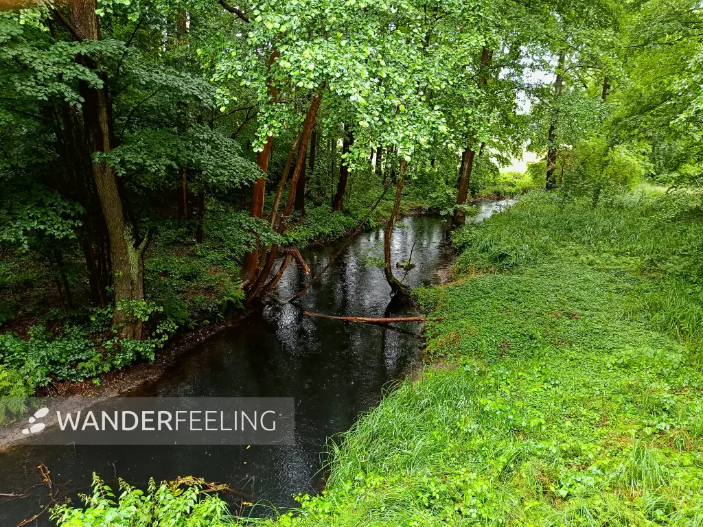 202507120-03 - Dahme bei Märkisch Buchholz, Dahme-Seenland, Brandenburg, Deutschland