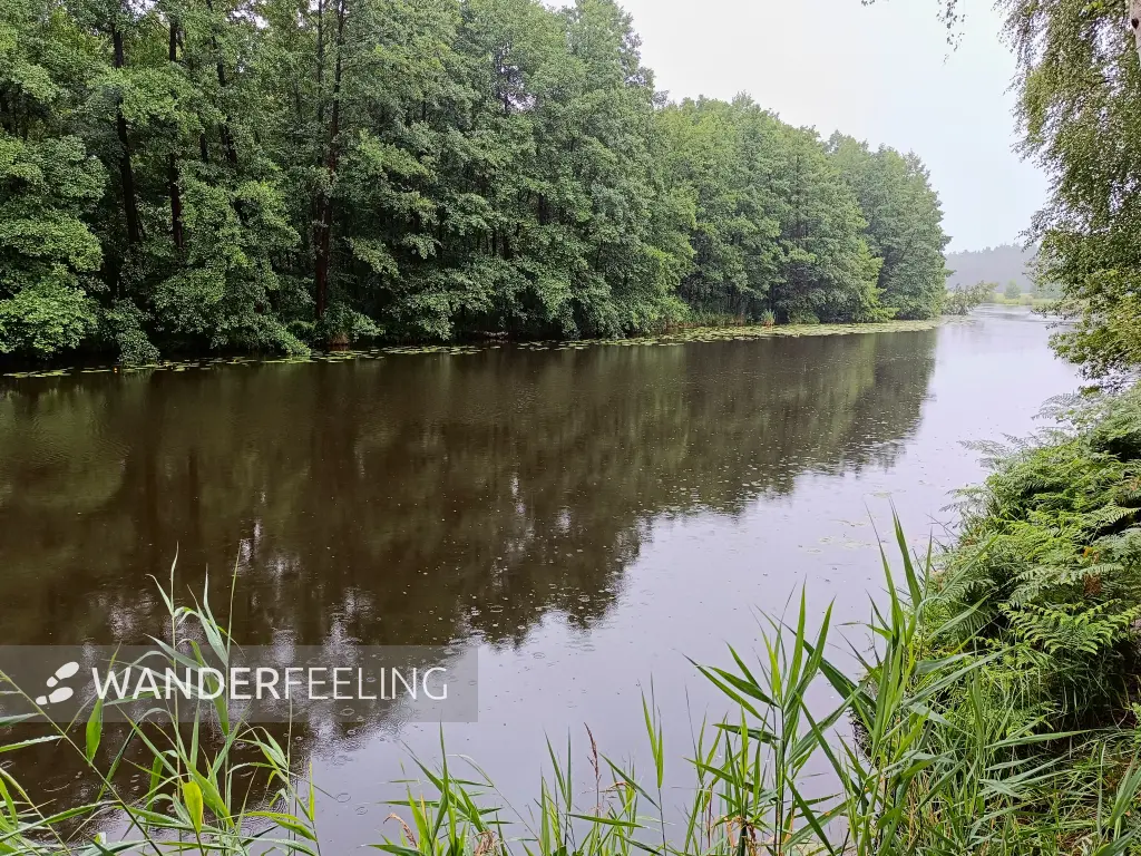 202507120-17 - Dahme bei Märkisch Buchholz, Dahme-Seenland, Brandenburg, Deutschland