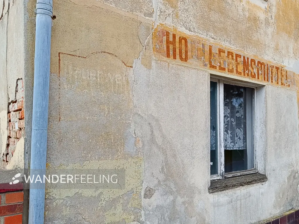 202505170-04 - Dauerwelle und Lebensmittel in Kummersdorf, Seenland Oder-Spree, Brandenburg, Deutschland