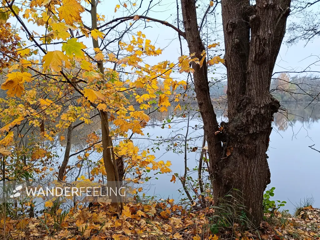 202511080-03 - Deetzer Erdelöcher bei Deetz, Havelland, Brandenburg, Deutschland
