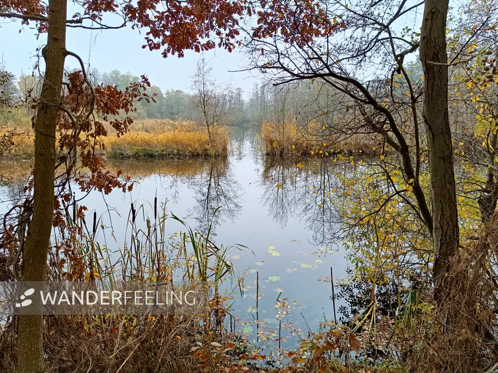 202511080-04 - Deetzer Erdelöcher bei Deetz, Havelland, Brandenburg, Deutschland