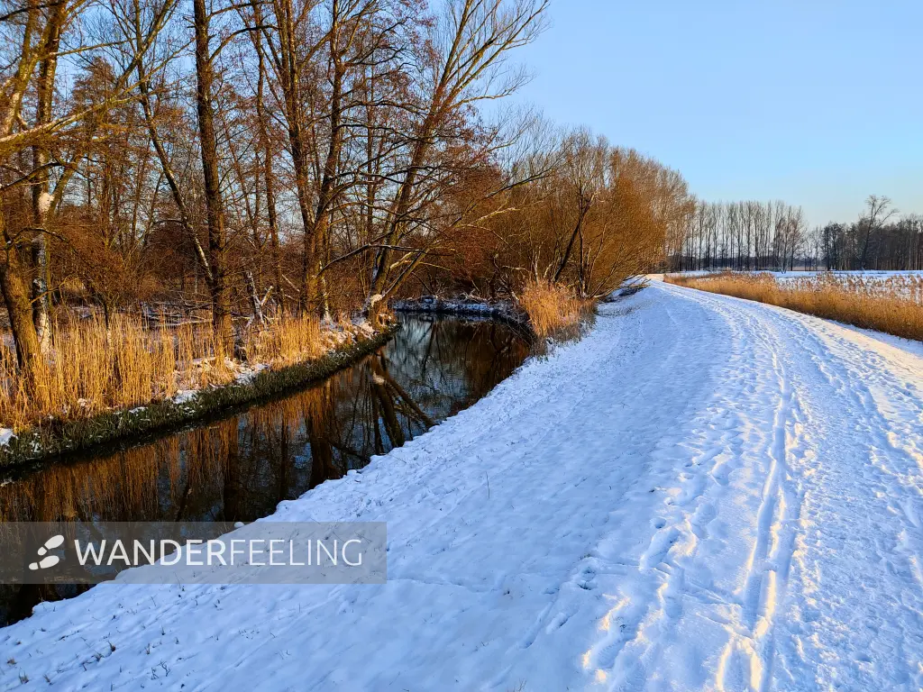 202401190-38 - Deich am Barbaragraben, Spreewald, Brandenburg, Deutschland