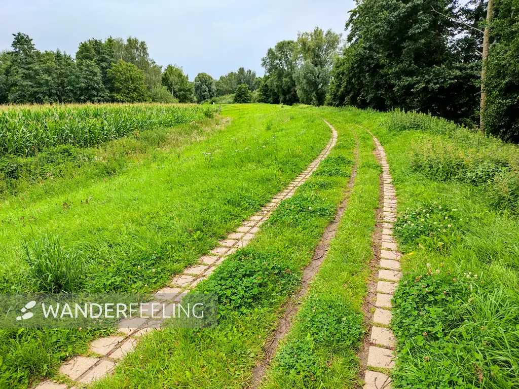202308160-05 - Deichweg an der Hunte bei Wardenburg, Oldenburger Land, Niedersachsen, Deutschland