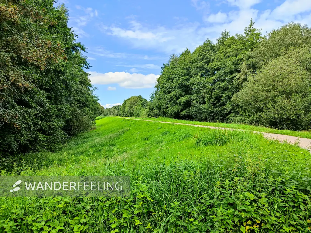 202308160-08 - Deichweg an der Hunte bei Wardenburg, Oldenburger Land, Niedersachsen, Deutschland