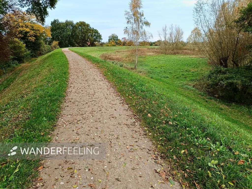 202410210-15 - Deichweg an der Ilmenau-Luhe-Niederung bei Winsen (Luhe), Lüneburger Heide, Niedersachsen, Deutschland