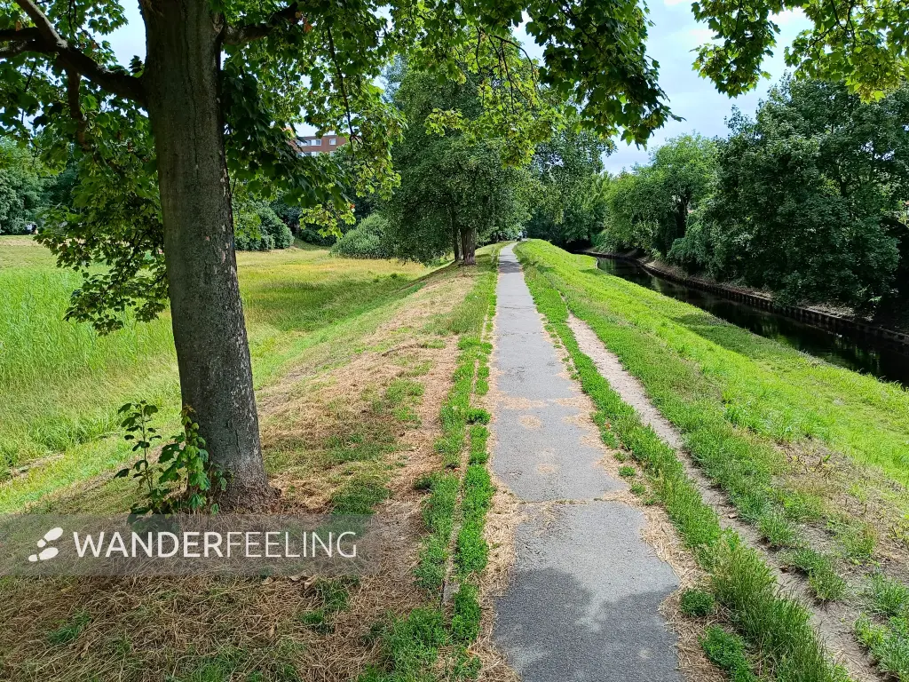 202407050-09 - Deichweg an der Panke im Wedding, Berlin, Deutschland
