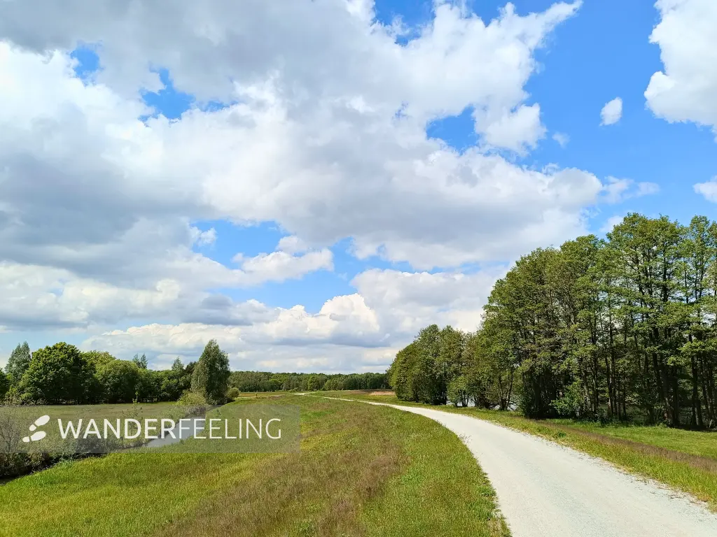 202605160-13 - Deichweg an der Spree bei Hartmannsdorf, Spreewald, Brandenburg, Deutschland