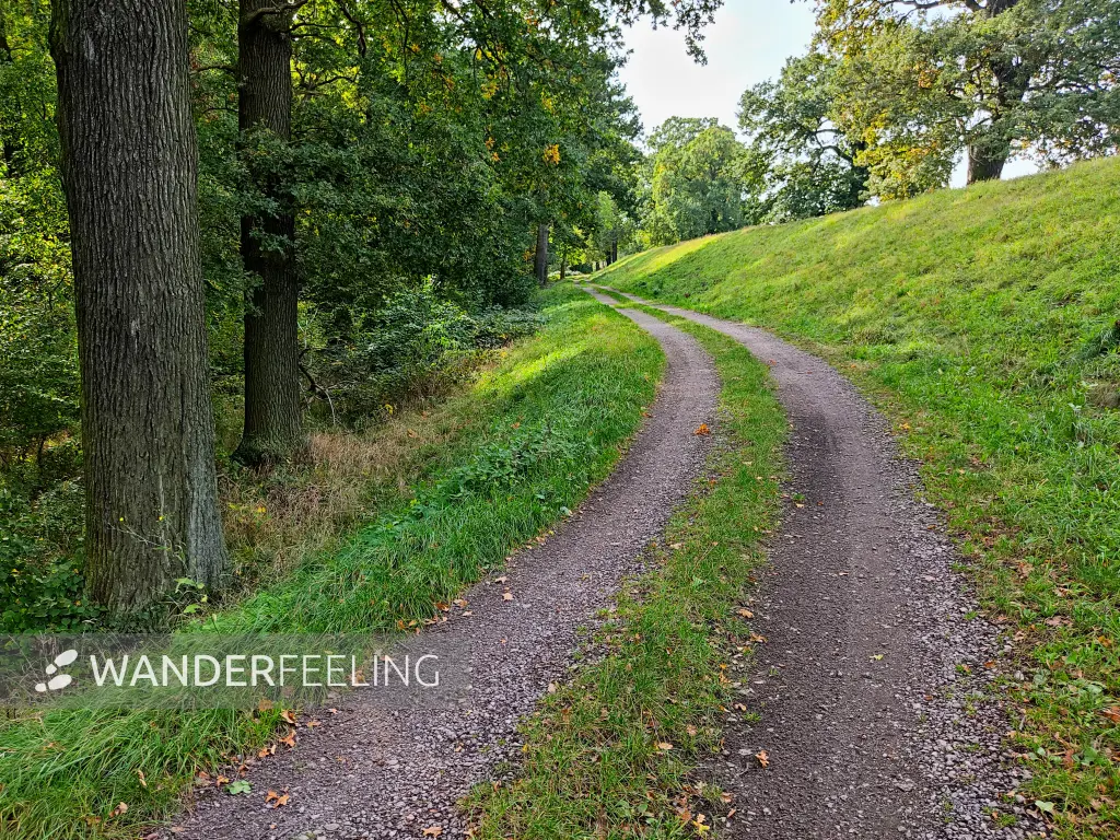 202310110-16 - Deichweg bei Wörlitz, Anhalt-Dessau-Wittenberg, Sachen-Anhalt, Deutschland