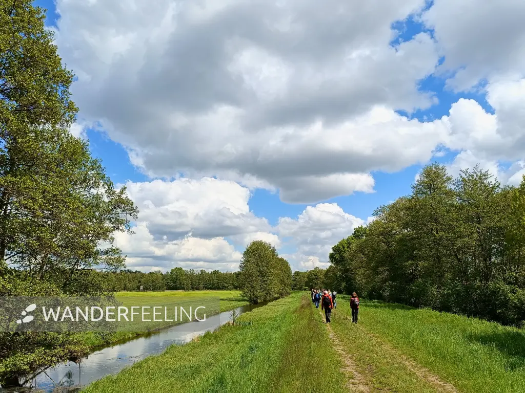 202605160-08 - Deichweg im Unterspreewald, Spreewald, Brandenburg, Deutschland