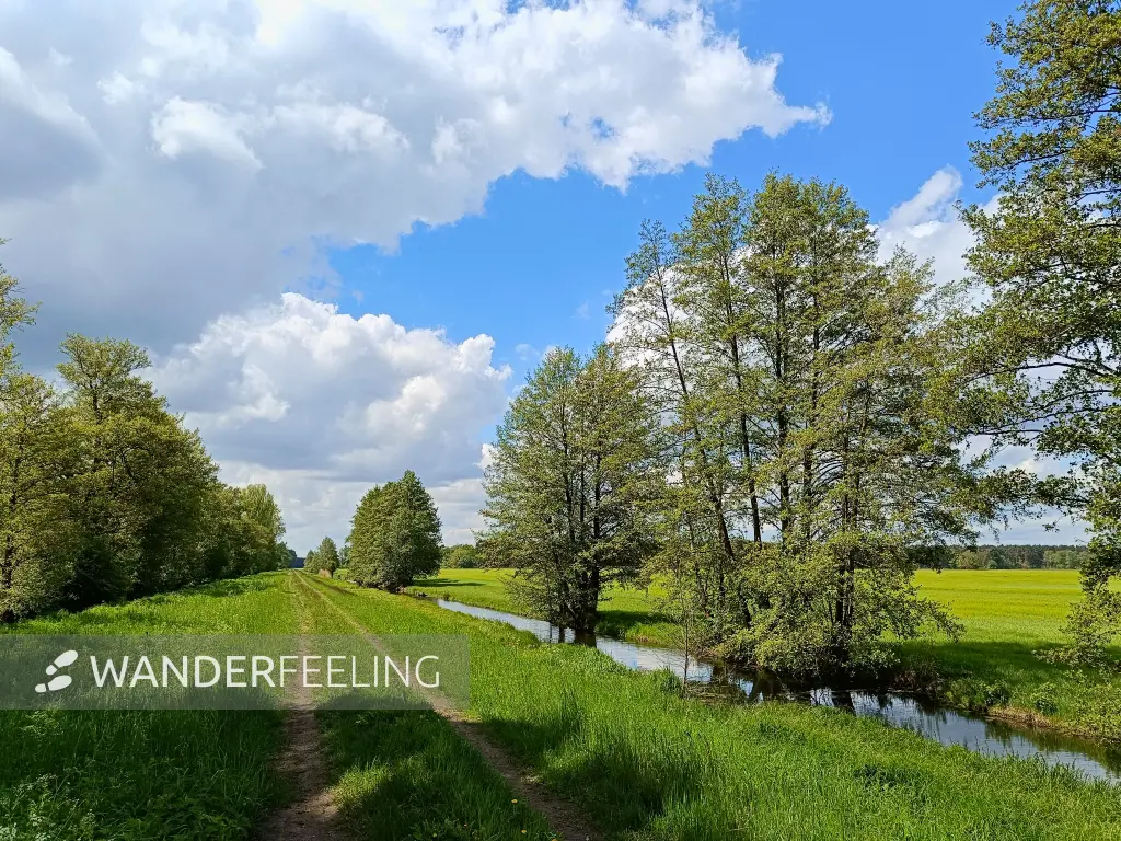 202605160-09 - Deichweg im Unterspreewald, Spreewald, Brandenburg, Deutschland