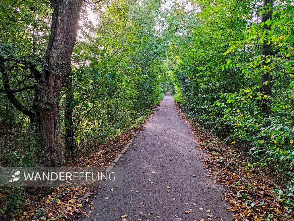 202310110-38 - Deichweg zwischen Waldersee und Vockerode, Anhalt-Dessau-Wittenberg, Sachen-Anhalt, Deutschland