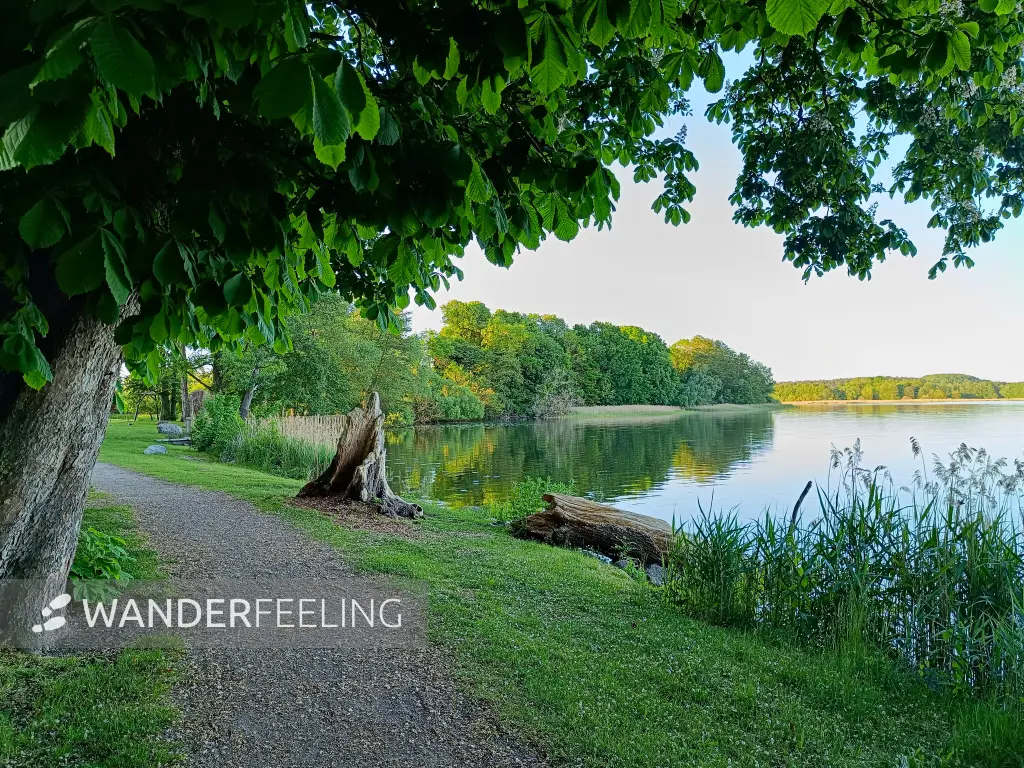 202605270-11 - Dobbertiner See bei Dobbertin, Mecklenburgische Seenplatte, Mecklenburg-Vorpommern, Deutschland