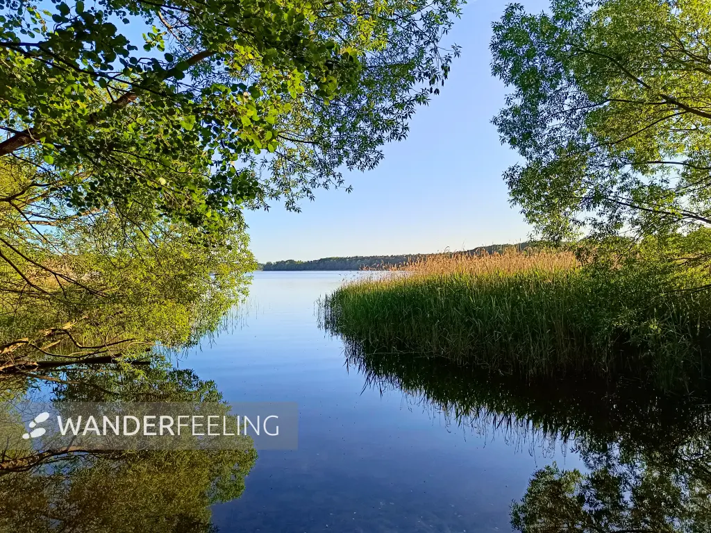 202605270-25 - Dobbertiner See bei Dobbertin, Mecklenburgische Seenplatte, Mecklenburg-Vorpommern, Deutschland