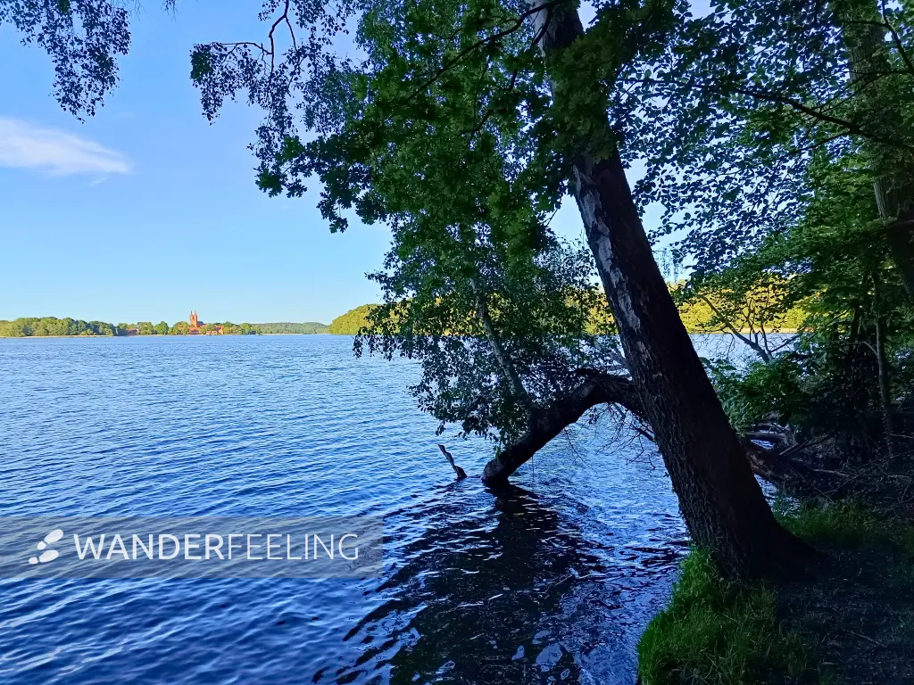 202605270-50 - Dobbertiner See bei Dobbertin, Mecklenburgische Seenplatte, Mecklenburg-Vorpommern, Deutschland
