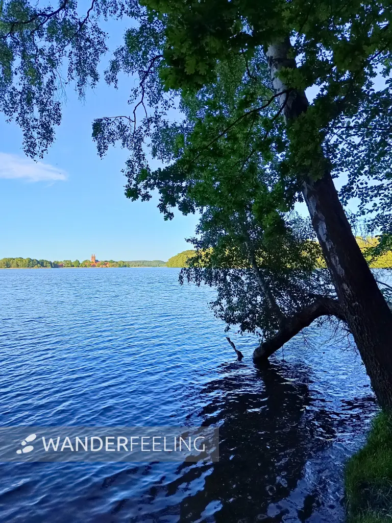202605270-51 - Dobbertiner See bei Dobbertin, Mecklenburgische Seenplatte, Mecklenburg-Vorpommern, Deutschland