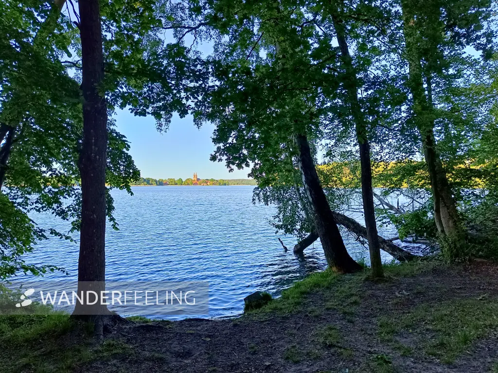 202605270-52 - Dobbertiner See bei Dobbertin, Mecklenburgische Seenplatte, Mecklenburg-Vorpommern, Deutschland