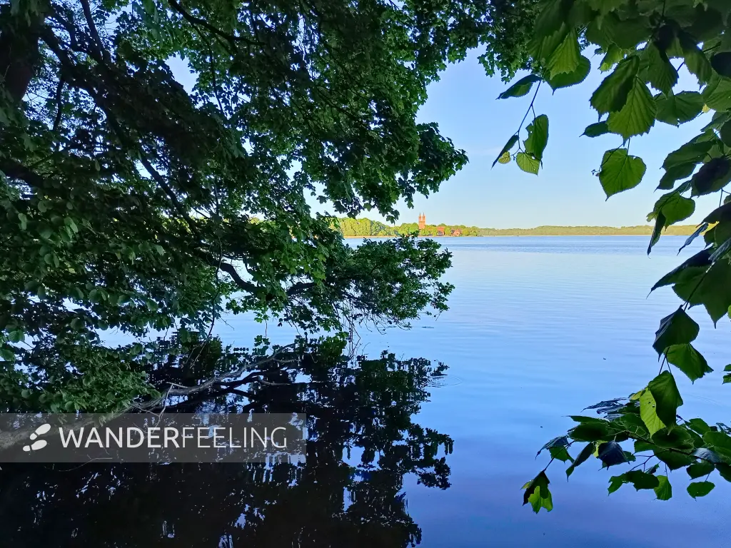 202605270-57 - Dobbertiner See bei Dobbertin, Mecklenburgische Seenplatte, Mecklenburg-Vorpommern, Deutschland
