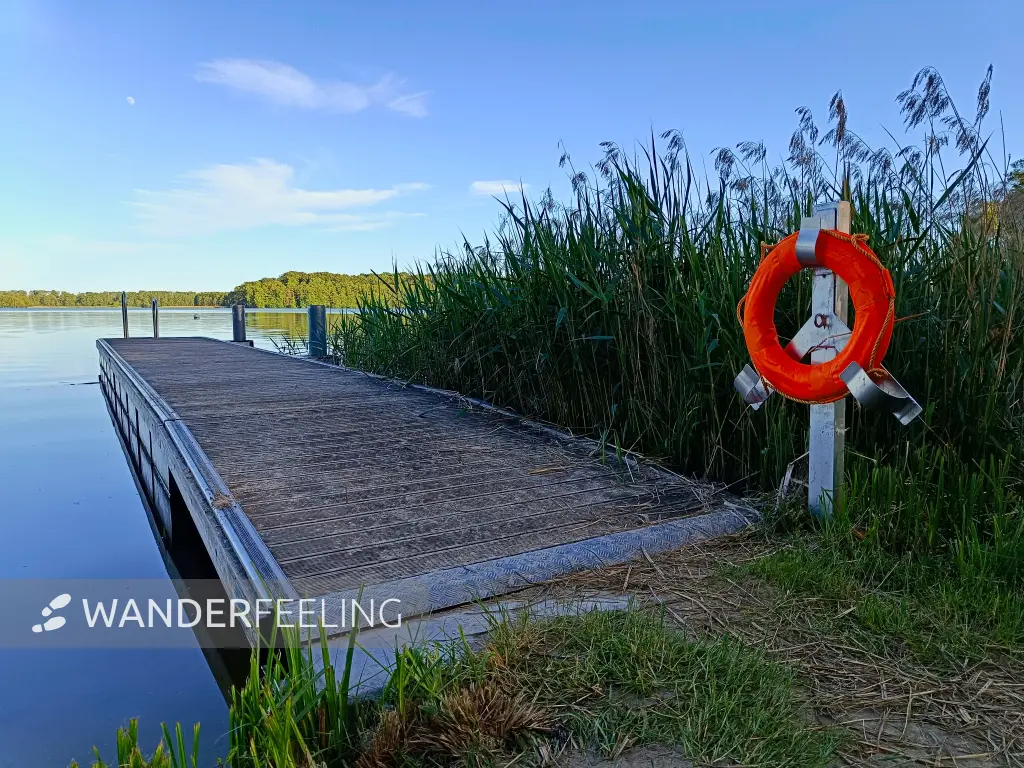 202605270-58 - Dobbertiner See bei Dobbertin, Mecklenburgische Seenplatte, Mecklenburg-Vorpommern, Deutschland