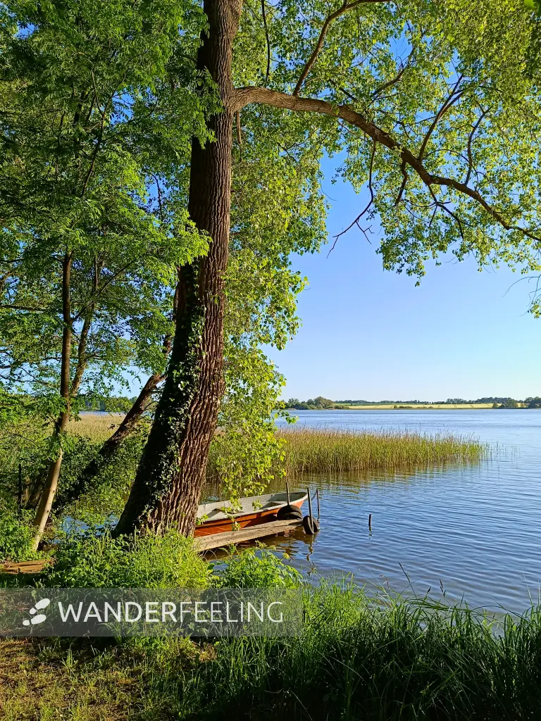202605270-45 - Dobbertiner See, Mecklenburgische Seenplatte, Mecklenburg-Vorpommern, Deutschland