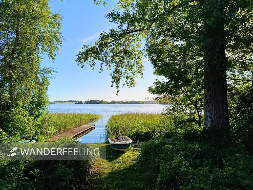 202605270-46 - Dobbertiner See, Mecklenburgische Seenplatte, Mecklenburg-Vorpommern, Deutschland
