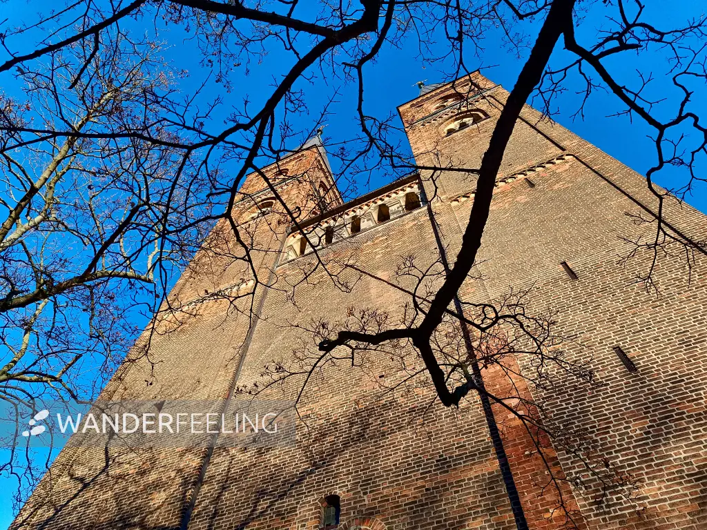 202511210-27 - Dom Sankt Nikolaus in Stendal, Altmark, Sachsen-Anhalt, Deutschland