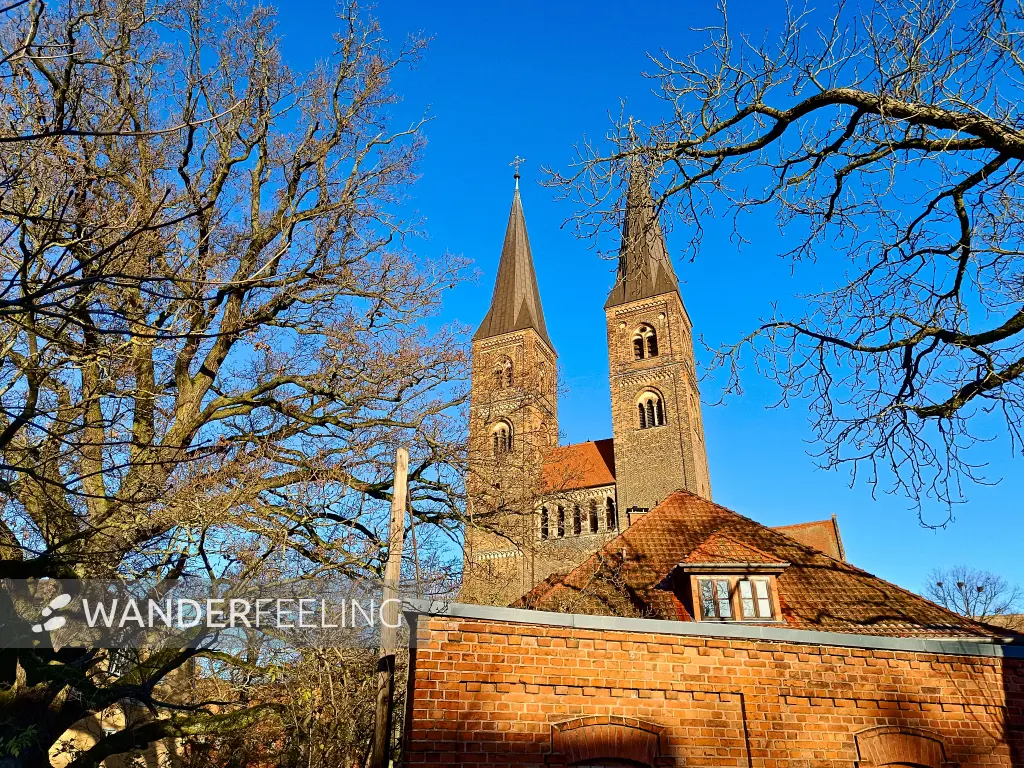 202511210-28 - Dom Sankt Nikolaus in Stendal, Altmark, Sachsen-Anhalt, Deutschland
