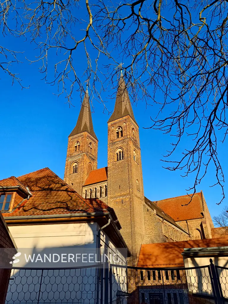 202511210-29 - Dom Sankt Nikolaus in Stendal, Altmark, Sachsen-Anhalt, Deutschland