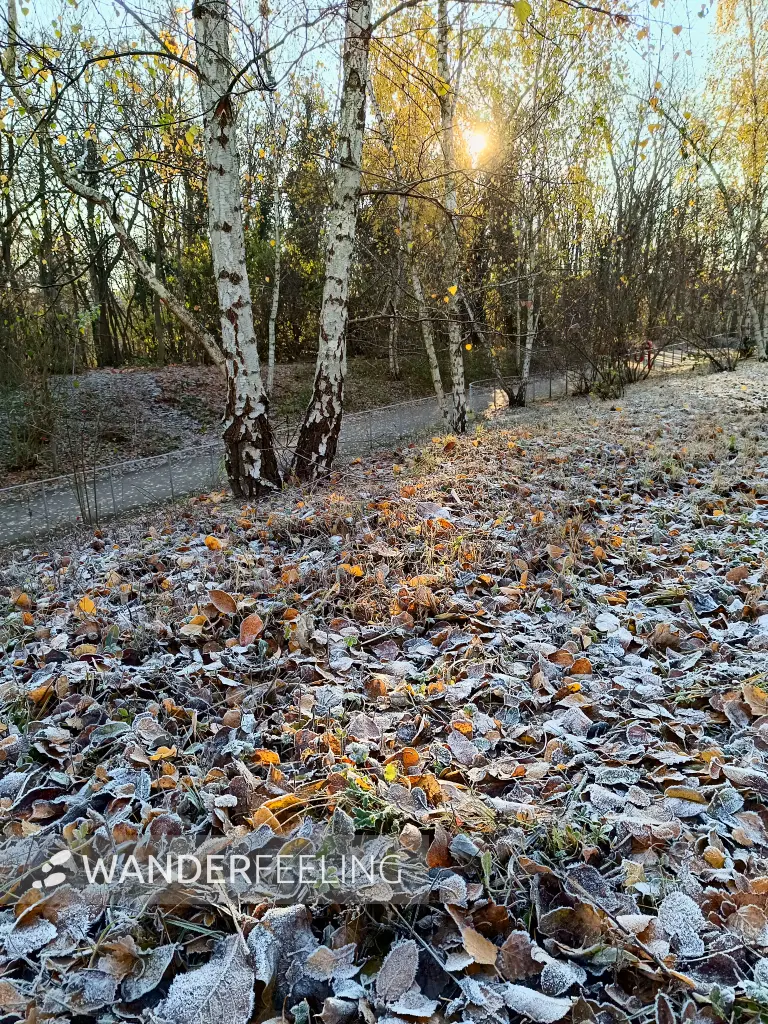 202511220-05 - Dora-Dunker-Park in Schöneberg, Berlin, Deutschland