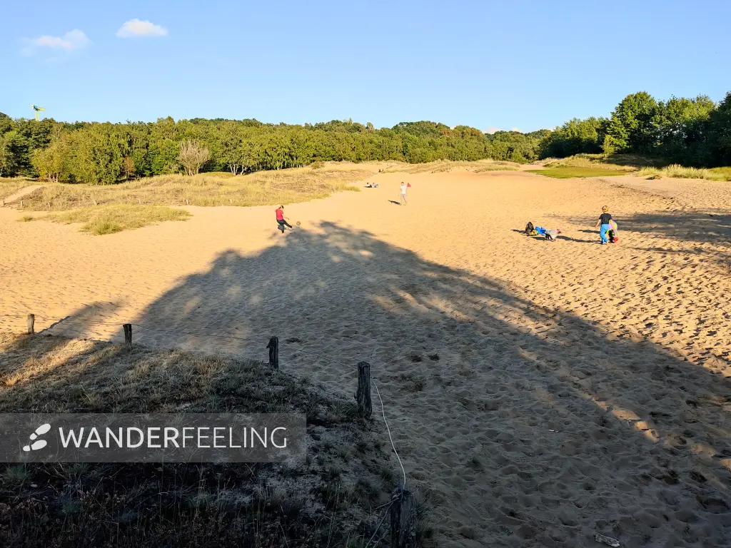 202309241-12 - Dünen in der Boberger Niederung, Hamburg, Deutschland