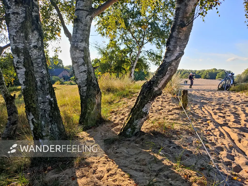 202309241-14 - Dünen in der Boberger Niederung, Hamburg, Deutschland