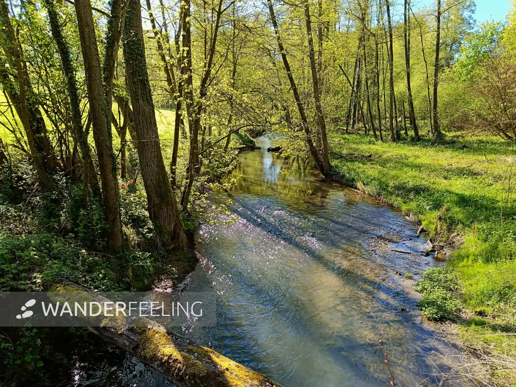 202604230-10 - Düssel im Düsseltal, Bergisches Land, Nordrhein-Westfalen, Deutschland