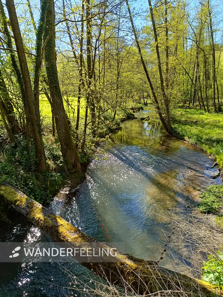 202604230-11 - Düssel im Düsseltal, Bergisches Land, Nordrhein-Westfalen, Deutschland