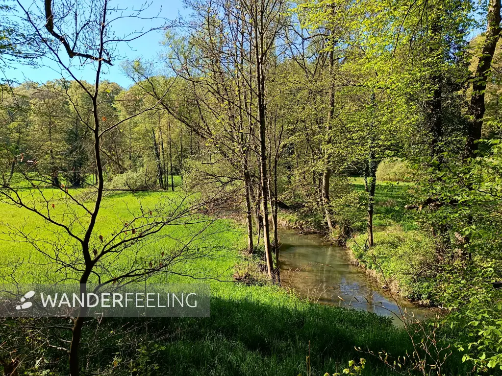 202604230-21 - Düssel im Düsseltal, Bergisches Land, Nordrhein-Westfalen, Deutschland