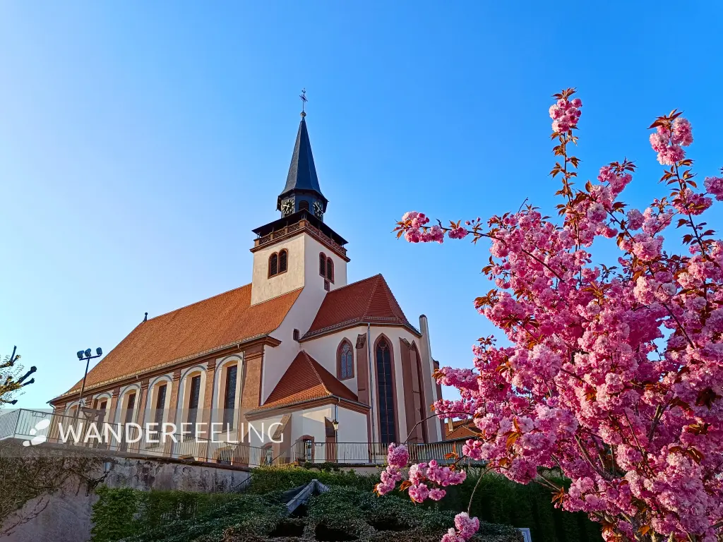 202504090-43 - Église de la Sainte-Trinité in Lauterbourg, Elsass, Frankreich
