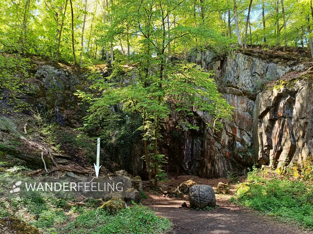 202604230-33 - Ehemaliger Steinbruch im Düsseltal, Bergisches Land, Nordrhein-Westfalen, Deutschland