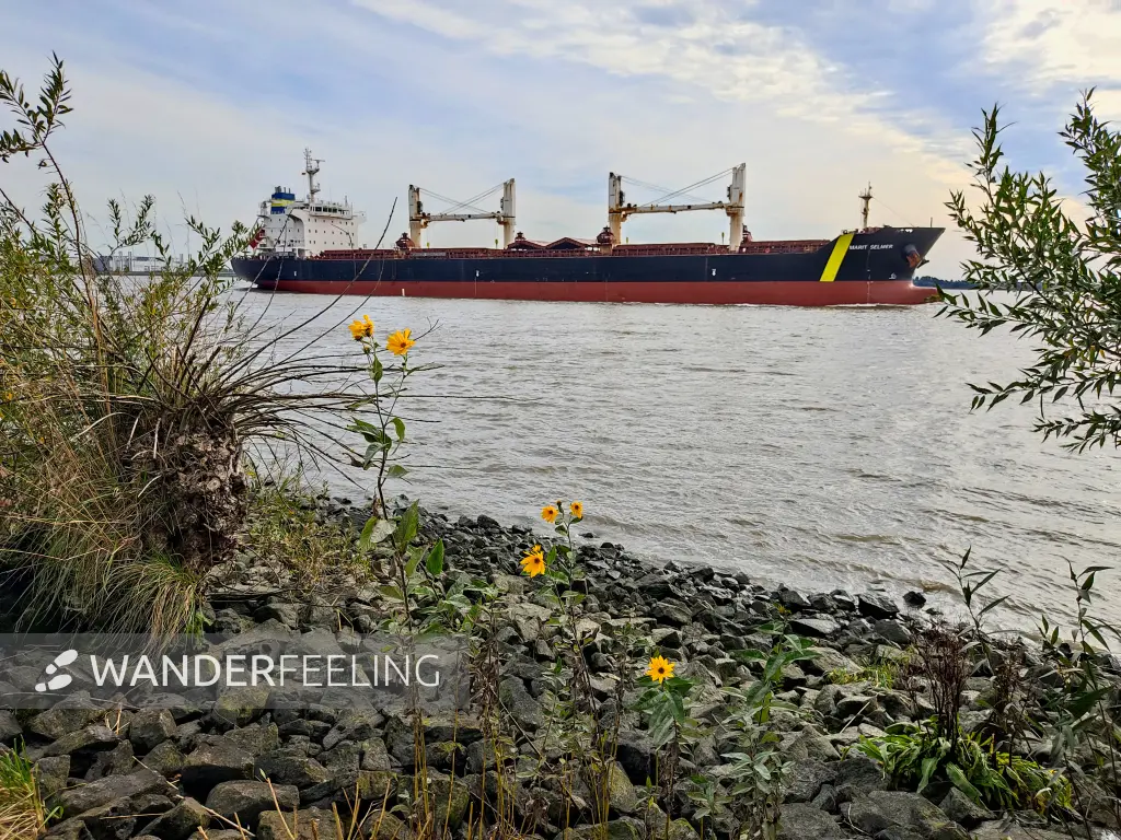 202309250-44 - Elbe bei Blankenese, Hamburg, Deutschland