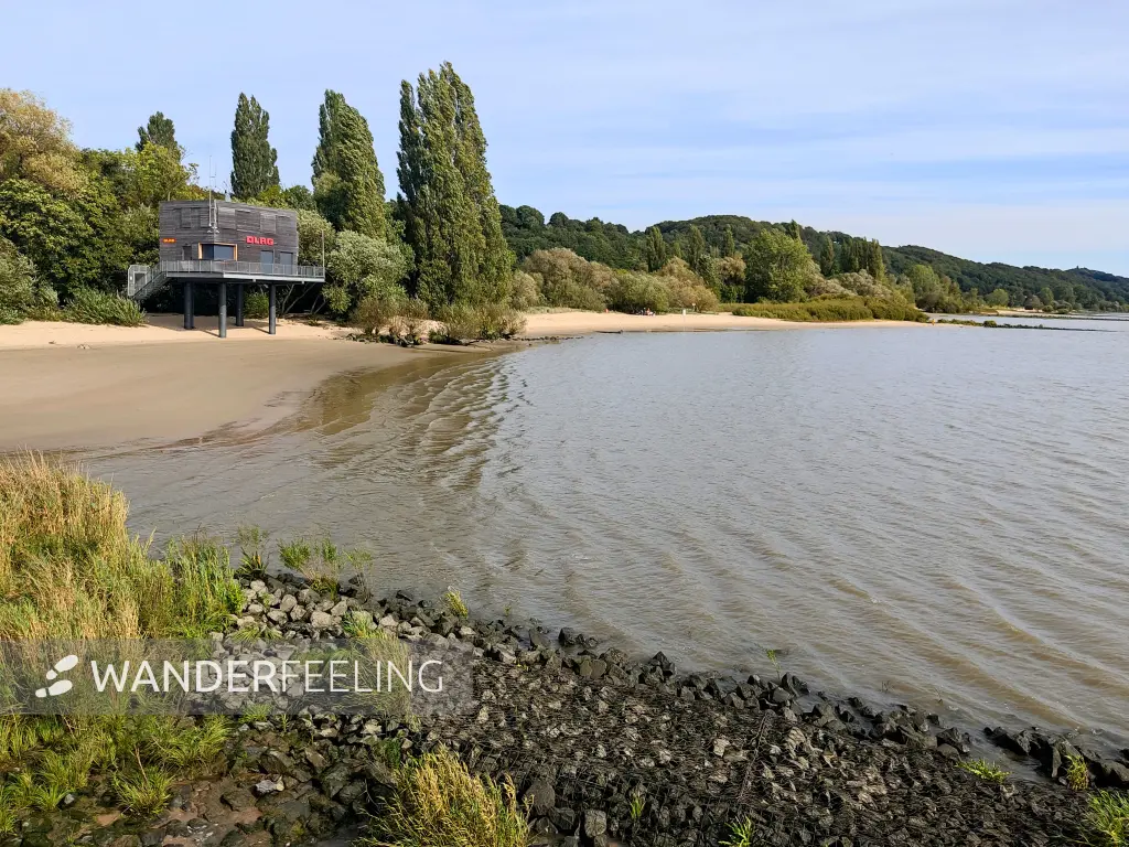 202309250-33 - Elbe bei Wittenbergen, Hamburg, Deutschland