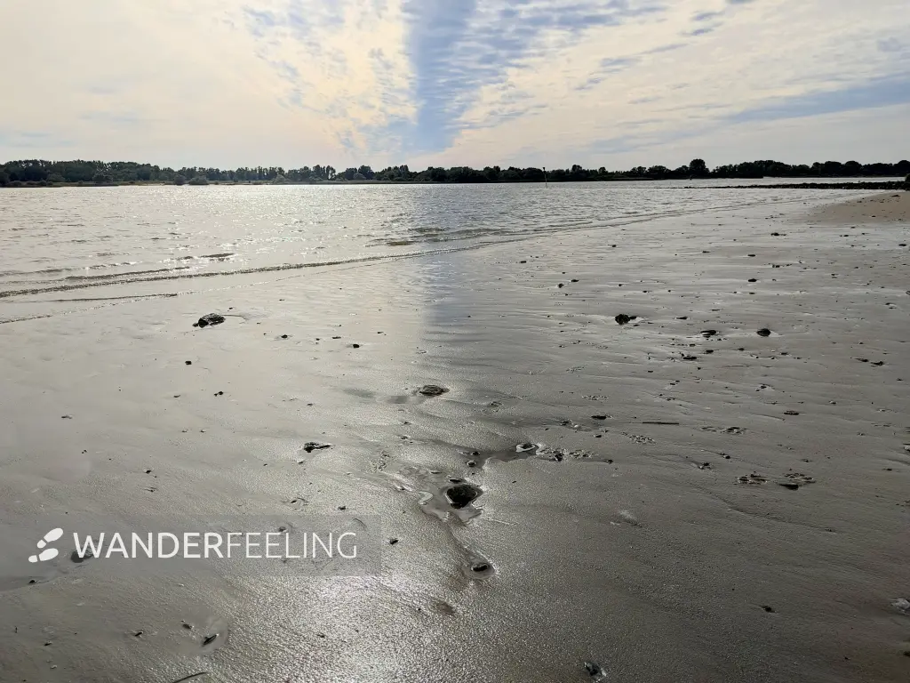 202309250-36 - Elbe bei Wittenbergen, Hamburg, Deutschland