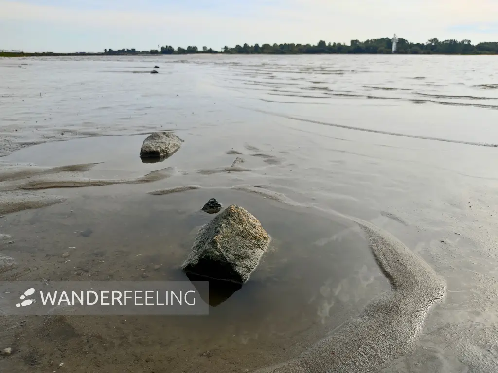 202309250-38 - Elbe bei Wittenbergen, Hamburg, Deutschland