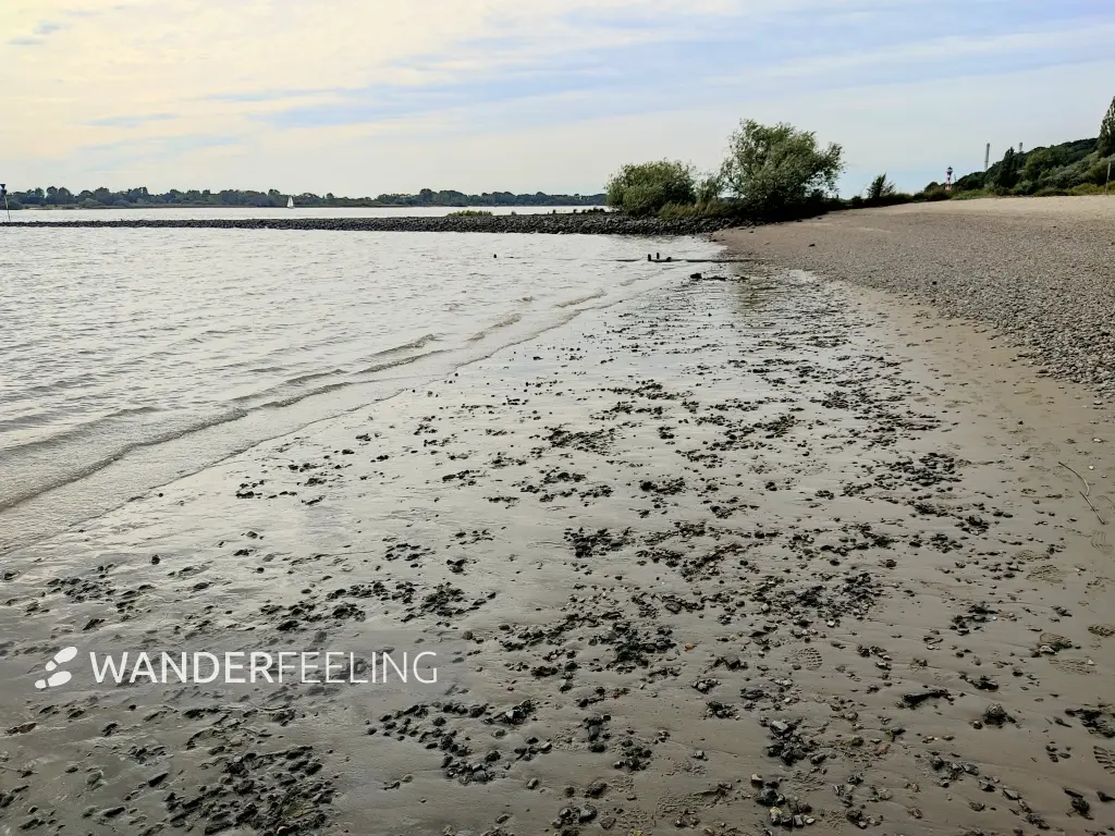 202309250-39 - Elbe bei Wittenbergen, Hamburg, Deutschland