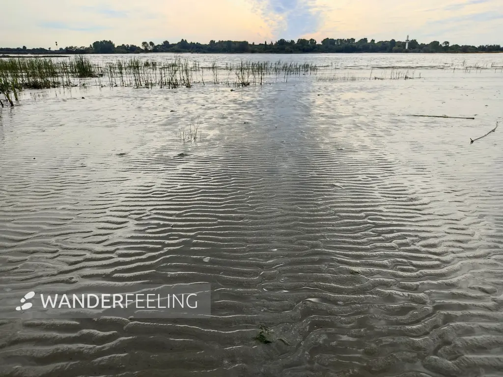 202309250-40 - Elbe bei Wittenbergen, Hamburg, Deutschland