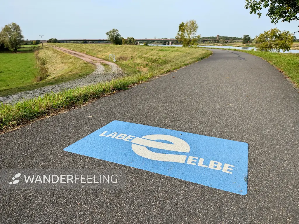 202310110-26 - Elberadweg bei Vockerode, Anhalt-Dessau-Wittenberg, Sachen-Anhalt, Deutschland