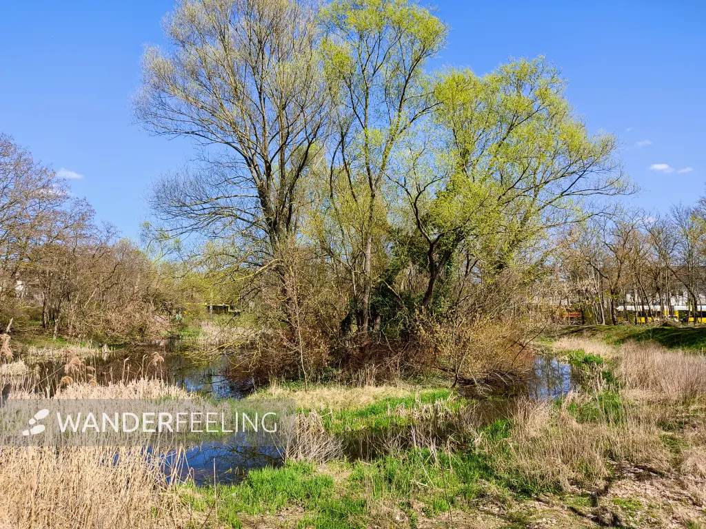 202304120-26 - Elsenteich in Mahlsdorf, Berlin, Deutschland