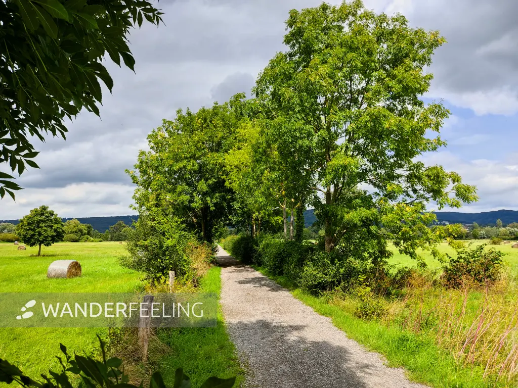 202308150-19 - Emmertal bei Lügde, Weserbergland, Nordrhein-Westfalen, Deutschland