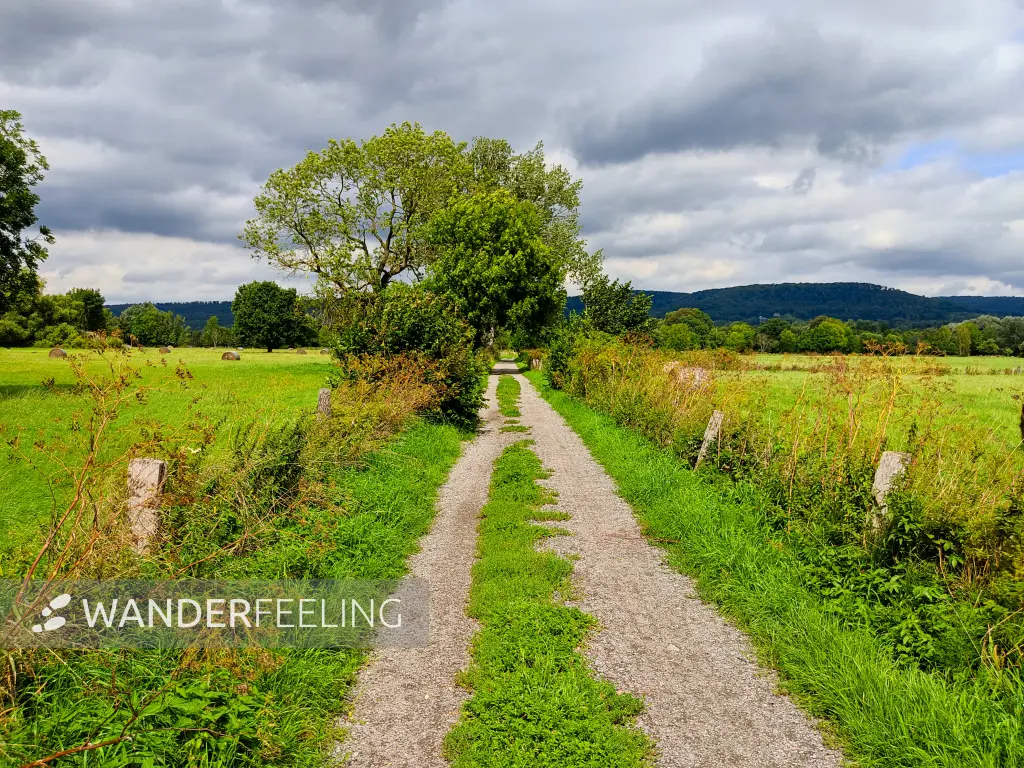 202308150-20 - Emmertal bei Lügde, Weserbergland, Nordrhein-Westfalen, Deutschland